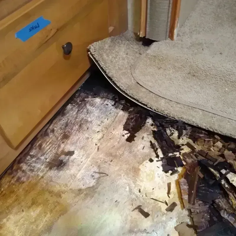 Wood Floor Water Damage in Pine Island Center, FL